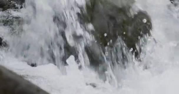 Närbild Detalj Flodvatten Ström Som Rinner Genom Flodstenar Slow Motion — Stockvideo