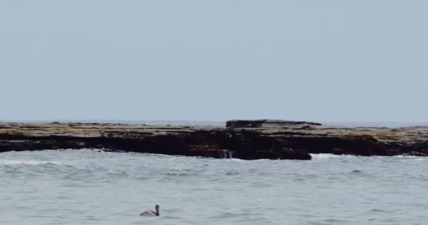 感受大自然的原始力量和宁静的美丽 我们迷人的 高品质的股票镜头 慢动作的海浪冲撞岩石海岸 精美的细节和充满活力的色彩提供了一种沉浸式的观赏体验 — 图库视频影像