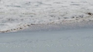 Okyanus Dalgaları Çarpışması 'nın Büyüleyici Yavaş Sinema Görüntüsü - Stok Video Gevşemesi, Film ve Tasarım