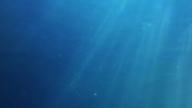 Sualtı ve Derin Okyanus Sahnesi