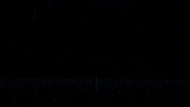 雨の森のキャビン 黒い背景の嵐のオーバーレイ 雨の霧 重い雨 雨のスプラッシュ — ストック動画