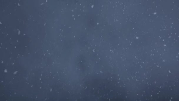 Покрытие Падающего Рейна Снега — стоковое видео