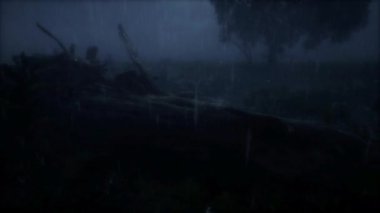 Yağan Yağmur ve Karların Örtüsü