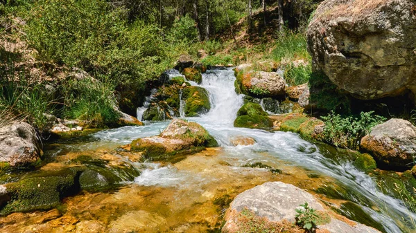 Řeka Protékající Mezi Borovicemi Přírodním Parku Sierra Cazorla Segura Las — Stock fotografie