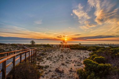 Kumlu Arenales del Sol plajına giden ahşap yol. Costa Blanca, Alicante vilayeti, Elche, İspanya