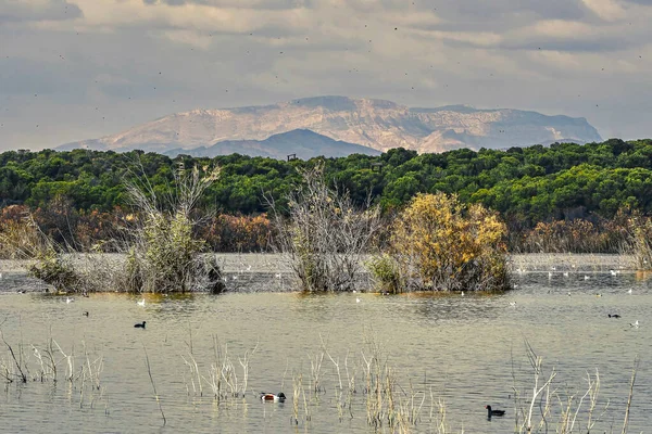 Parque Natural Clot Galvany Zonas Húmidas Importantes Comunidade Valenciana Localizado — Fotografia de Stock