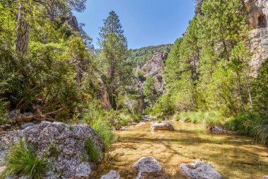 Matarra Nehri 'nin sularının aktığı Parrizal de Beceite Boğazı. Teruel, Aragon, İspanya 'da