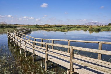 Elche Hondo doğal parkında ahşap yol. Elche, Alicante, Valensiyalı cemaati, İspanya.
