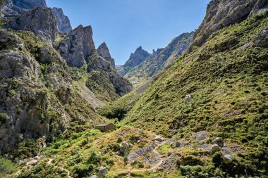 Picos de Europa Milli Parkı 'ndaki Len ve Asturias eyaletleri arasında bulunan bakım rotası. Asturias, İspanya