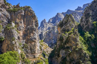 Picos de Europa ulusal parkında, Len ve Asturias eyaletleri arasında bulunan Cares yolu. Asturias, İspanya