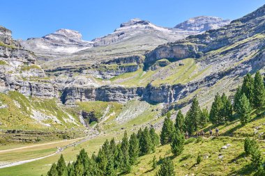 Ordesa Vadisi, Pireneler, İspanya 'da bir grup kadın yürüyüşçü.