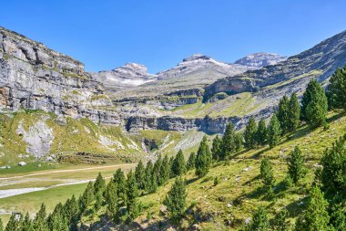 Pireneler 'deki Ordesa Vadisi. Arka planda Cola de Caballo Şelalesi. Ordesa ve Monte Perdido Ulusal Parkı, Huesca, Aragon, İspanya.