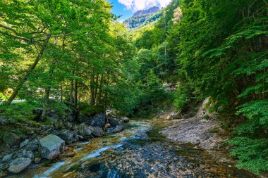 Arazas Nehri Ordesa Ulusal Parkı 'ndan akar. Biyosfer rezervi. Ordesa Doğal Parkı, Huesca, Aragon, İspanya.