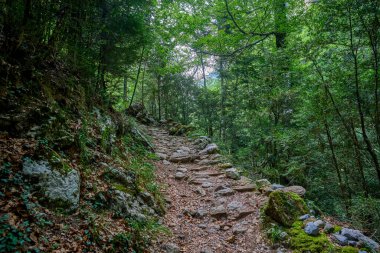 Trail that runs through the Aisclo Canyon, surrounded by forests, mountains, and rivers. An ideal area for hiking and enjoying nature. In Ordesa National Park, Aragon, Spain.
