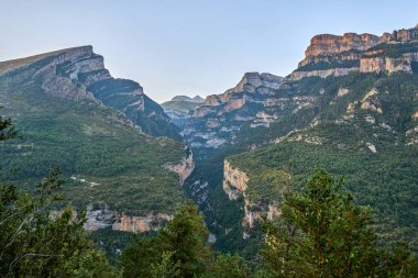 Ordesa Doğal Parkı, Huesca, Aragon, İspanya 'da yüksek kayalık dağlar ve yeşil ormanlarla Anisclo Kanyonu' nda günbatımı.