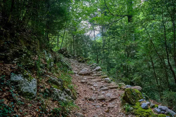 Trail that runs through the Aisclo Canyon, surrounded by forests, mountains, and rivers. An ideal area for hiking and enjoying nature. In Ordesa National Park, Aragon, Spain.