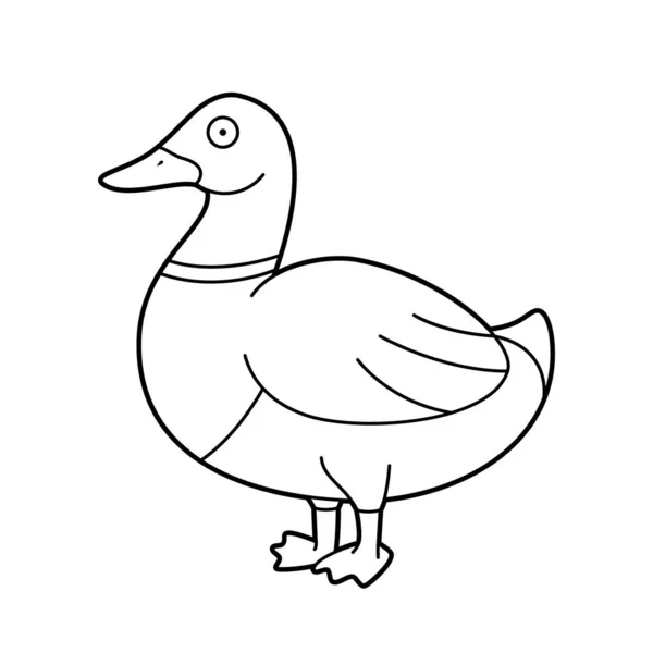 Easy Coloring Cartoon Vector Illustration Brown Green Duck — Stock Vector