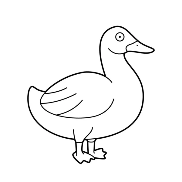 Easy Coloring Cartoon Vector Illustration Duck — Stock Vector