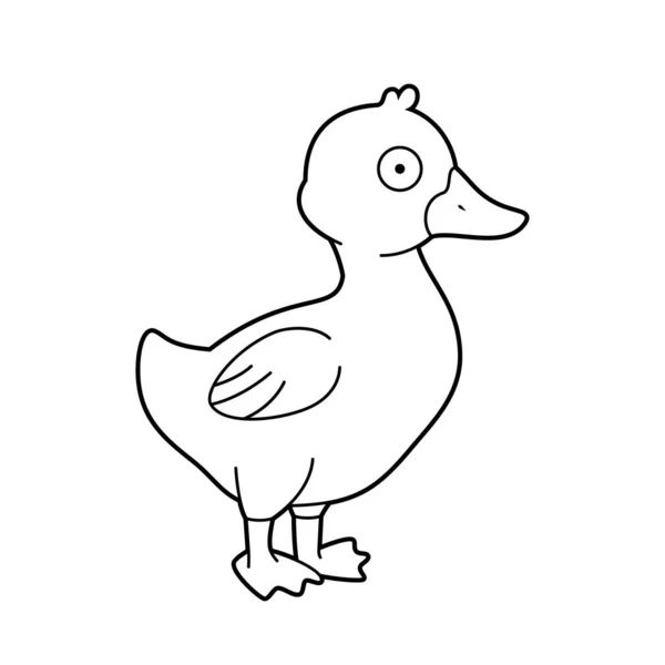 Easy Coloring Cartoon Vector Illustration Duckling — Stock Vector