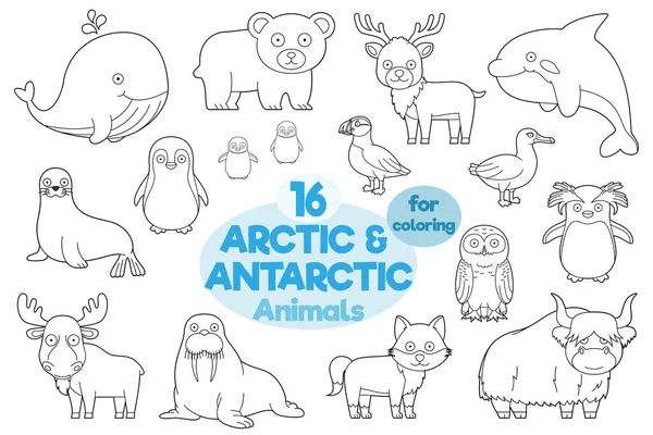 Uppsättning Arktiska Och Antarktiska Djur För Färgning Tecknad Stil Vektor — Stock vektor