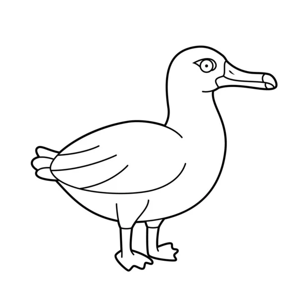 Einfache Färbung Cartoon Vektor Illustration Eines Albatros — Stockvektor