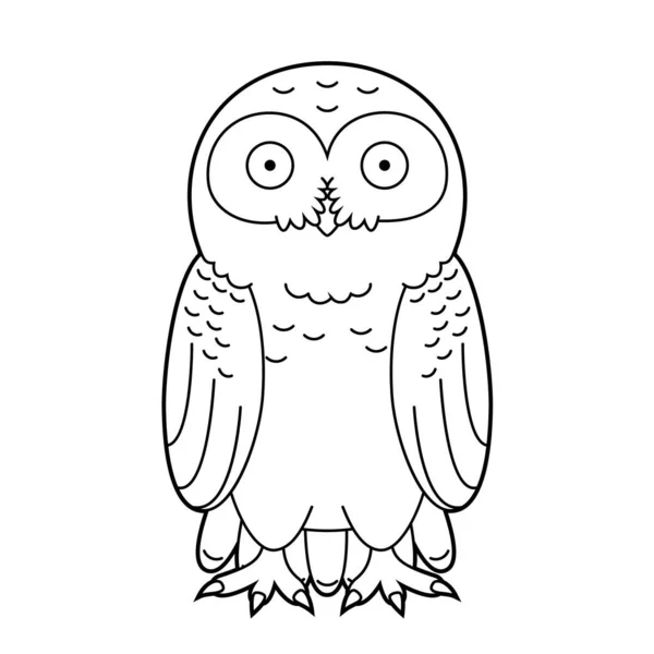 雪地猫头鹰的简单的彩色卡通矢量图解 — 图库矢量图片