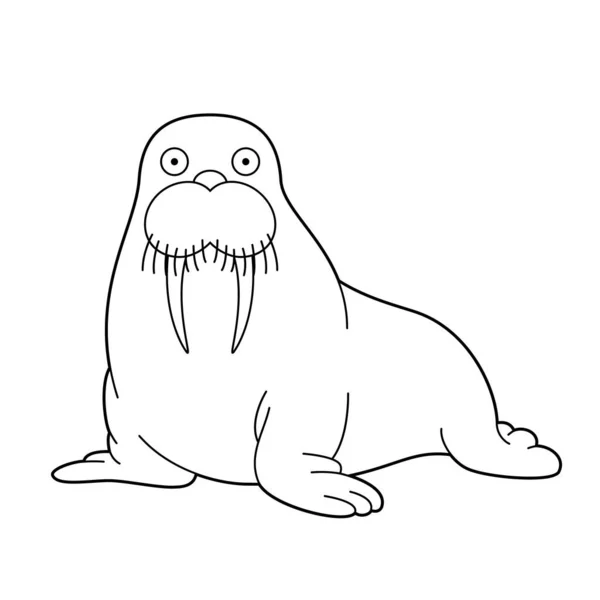 Gemakkelijk Kleuren Cartoon Vector Illustratie Van Een Walrus — Stockvector