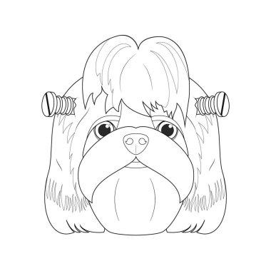 Boyama için Cadılar Bayramı tebrik kartı. Shitzu köpeği yeşile boyanmış ve kafasında vida olan bir canavar gibi giyinmiş.