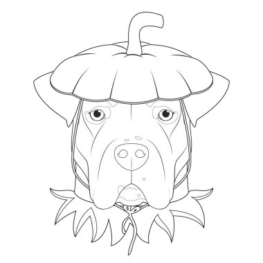 Boyama için Cadılar Bayramı tebrik kartı. Balkabağı gibi giyinmiş Arjantin Dogo köpeği