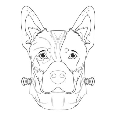 Boyama için Cadılar Bayramı tebrik kartı. Avustralya sığır köpeği yeşile boyanmış ve boynunda vida olan bir canavar gibi giyinmiş.