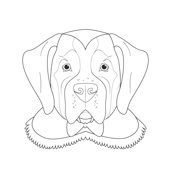 Halloween Gratulationskort För Färgläggning Saint Bernard Hund Klädd Som Vampyr — Stock vektor