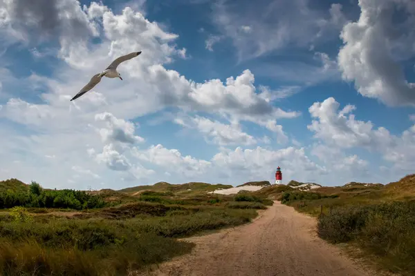 多云的日子里海鸥在灯塔上空飞翔 — 图库照片