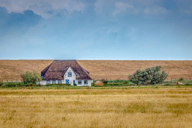 Bulutlu Altında Kırsal Altın Çimen Sahasında Beyaz Kır Evi 