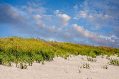 Kumsalda çimenlerle kaplı kumullar mavi gökyüzünün altında bulutlarla