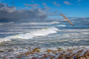 Okyanusun üzerinde dramatik atmosferli Kara Fırtına Bulutları