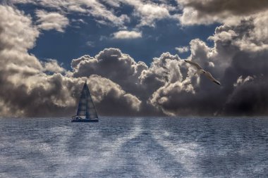 Fligh 'te dramatik bulutlar ve martılarla Sakin Okyanusta yelkenli.