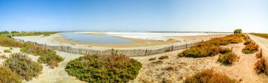 Salin de Giraud, Arles, Camargue, Fransa 