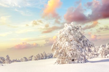Kış manzarası Kara Orman, Almanya 