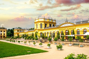 Kassel, Hessen, Almanya 'da Turuncu 