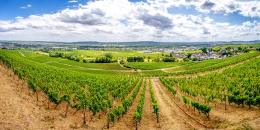 View from Johannisberg, Ruedesheim, Hessen, Germany 