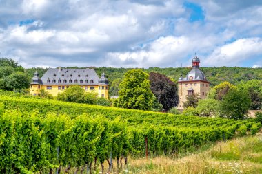 Vollrads Kalesi, Geisenheim, GErmany 