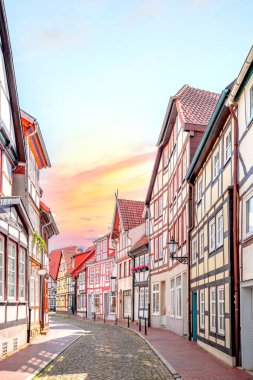 Old city of Hameln, Germany  clipart