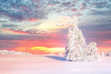 Winter landscape, Harz, Germany 