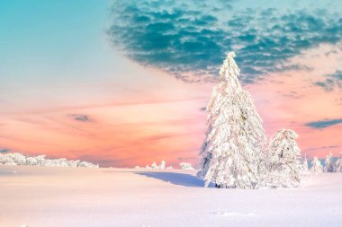 Winter landscape, Harz, Germany 