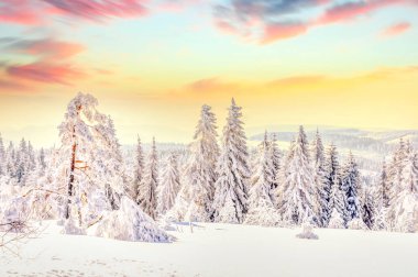 Winter landscape, Harz, Germany 