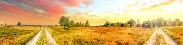 Lueneburg Heide Landscape Germany — стоковое фото