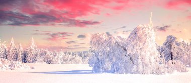 Winter landscape, Sauerland, Germany 