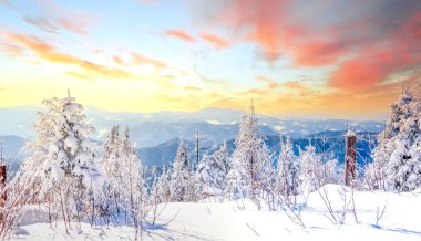 Winter landscape, Sauerland, Germany  clipart