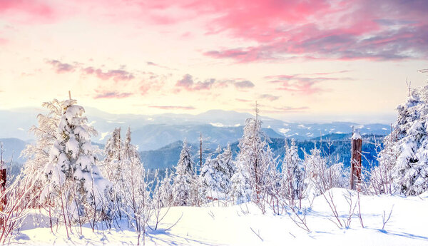 Winter landscape, Sauerland, Germany 