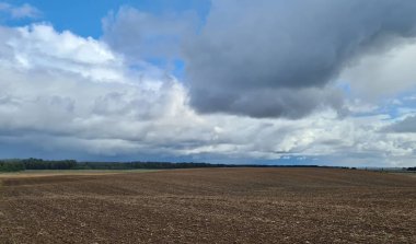 Buğday hasadının toplandığı tarlanın üzerindeki bulutlu kasvetli gökyüzü.